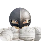 The Falcon