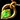 Neck