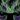 Vengeance DemonHunter