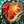 Steadfast Heart