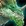 Appel d’Ysera
