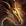 Ясновидец