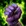 Poing de gangrefeu