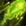 Node 90918