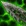 Node 91015