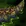 Regicide's Reward