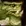 Improved Aspect of the Turtle