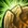 Node 103596