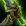 Commandant des morts