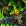 Node 108669