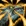 Primal Surge