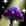 Wild Mushroom