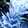 Depth Charge
