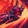 Umbral Dash