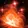 Phosphorus Bomb