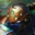 Shen