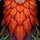 Elder Mossveil