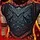Cuirasse des savoirs acquis