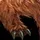 Kul Tiran Skinning