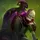 Singed mit 1 Stern