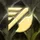 tft_item_name_TFT7_Item_Trainer_Shred