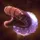 tft_item_name_Mittens