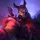 Rakan