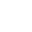 Темная леди