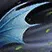 Heavy Wingbeats