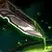 Unstable Toxin