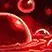 Suelo empapado en sangre
