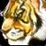Improved Aspect of the Cheetah