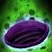 Seed of Corruption