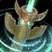 Healing Tide Totem