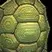 Shell Wall