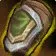 Torchbearer's Bracers