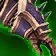 Living Weapon's Crushers