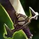 Executioner's Calling