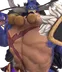 Beast Pirate (Half-Dragon)