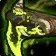 Gebbo's Backup Blaster